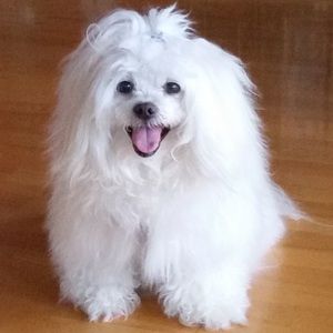 Meet your Posher, Heather